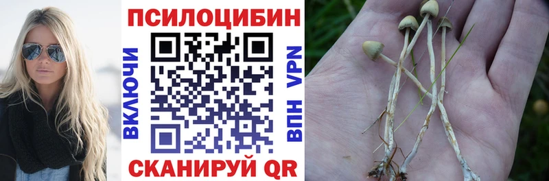 Галлюциногенные грибы ЛСД  Калачинск 